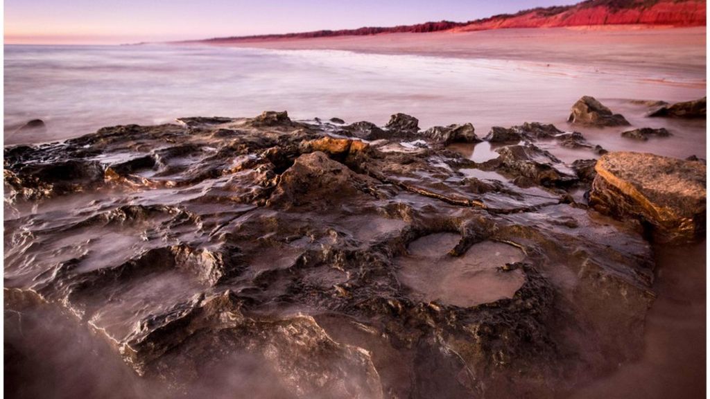 Kimberley fossil tracks are Australia's 'Jurassic Park'