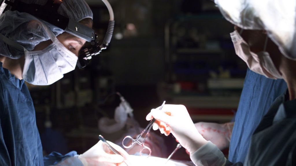 Campaign to adopt Wales' organ donation law in England