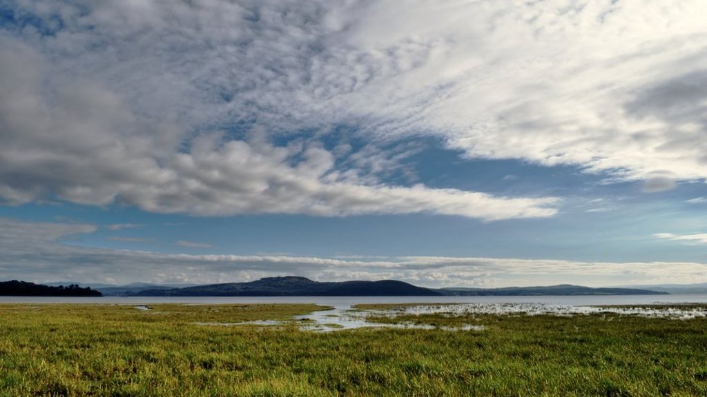 Dig to uncover rare undisturbed Bronze Age burial