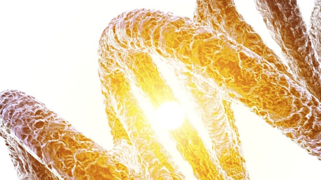 Safer way to do gene editing