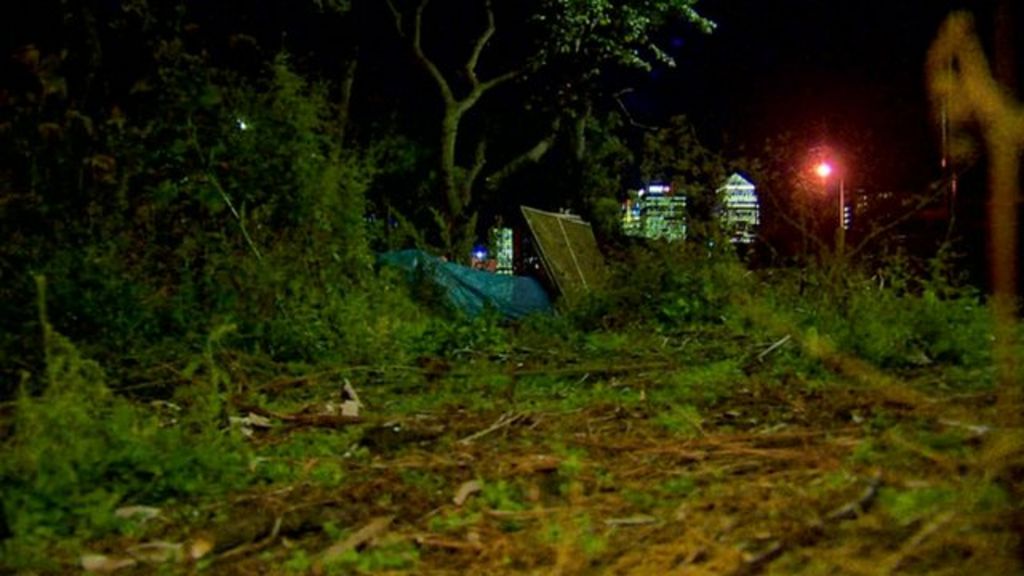 More rough sleepers 'in need of psychiatric support'