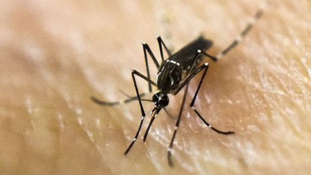 'Sweaty billboard' kills mosquitoes