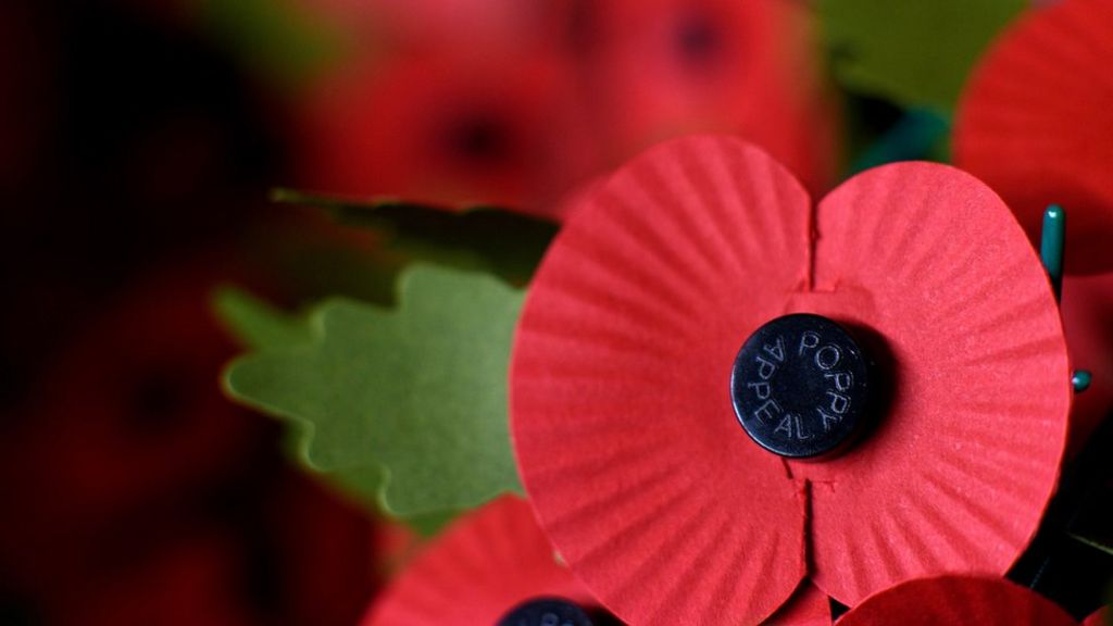 Five Reasons People Don T Wear Poppies Bbc News