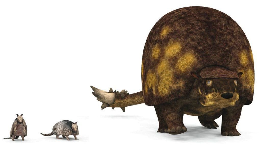 Scientists confirm armadillos' giant ancestor - BBC News