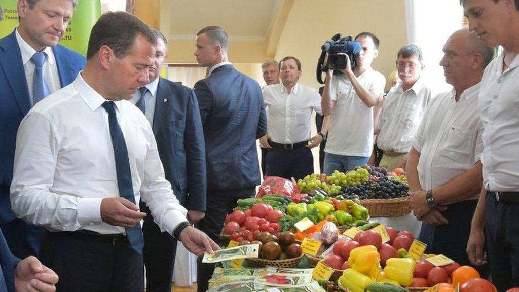 Russia adds countries to food import ban over sanctions - BBC News