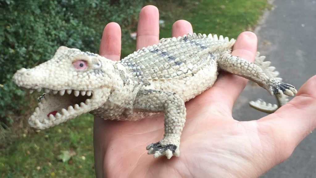 RSPCA called to toy crocodile rescue in Winsford
