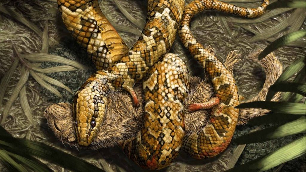 Four-legged snake fossil discovered