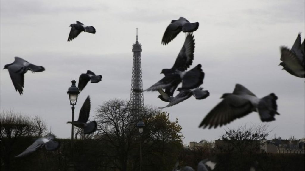 Defiant French businesses carry on