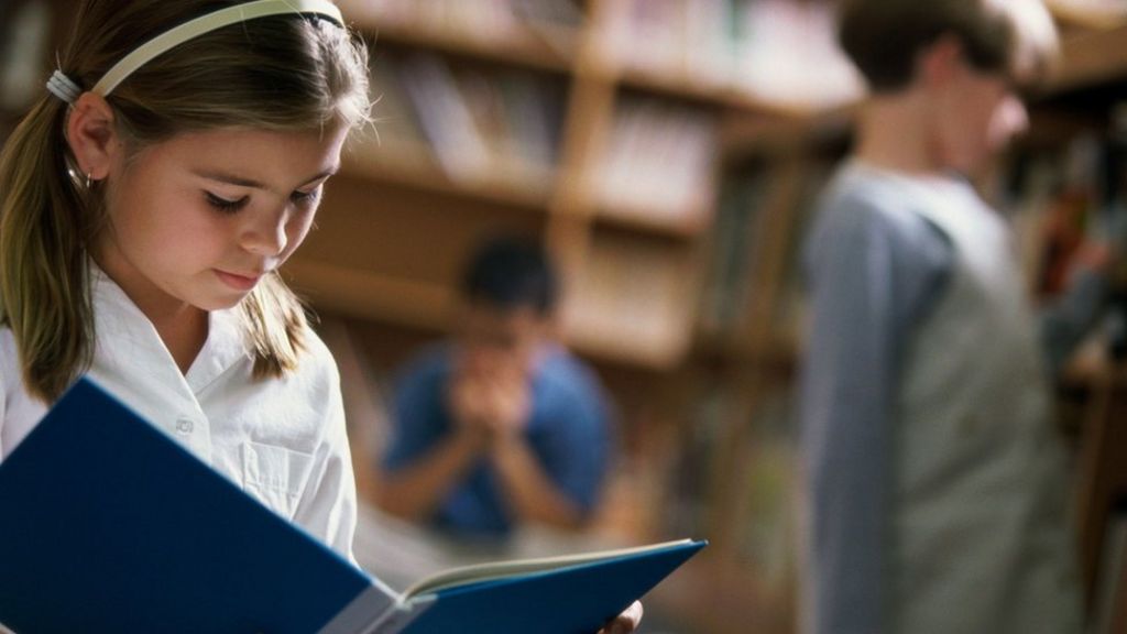 Cross-party resistance to academy plan