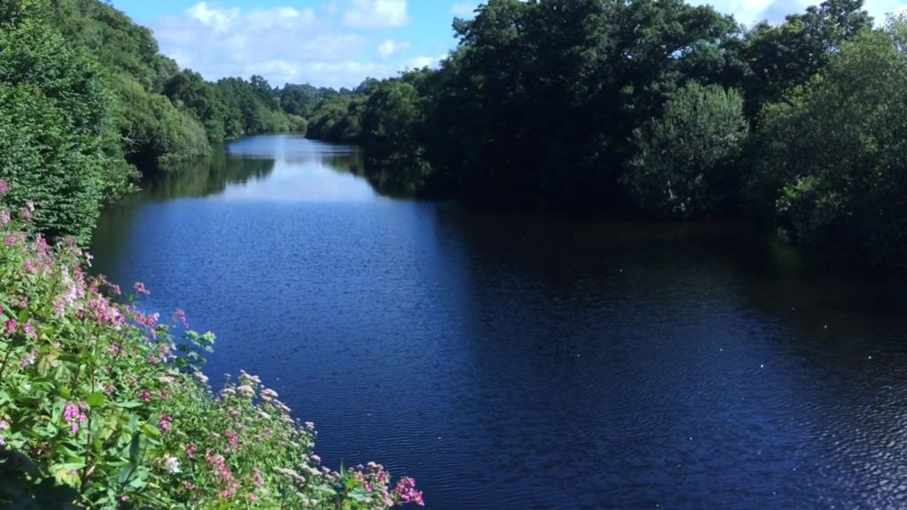 River Dart in Totnes searched for boy, 16