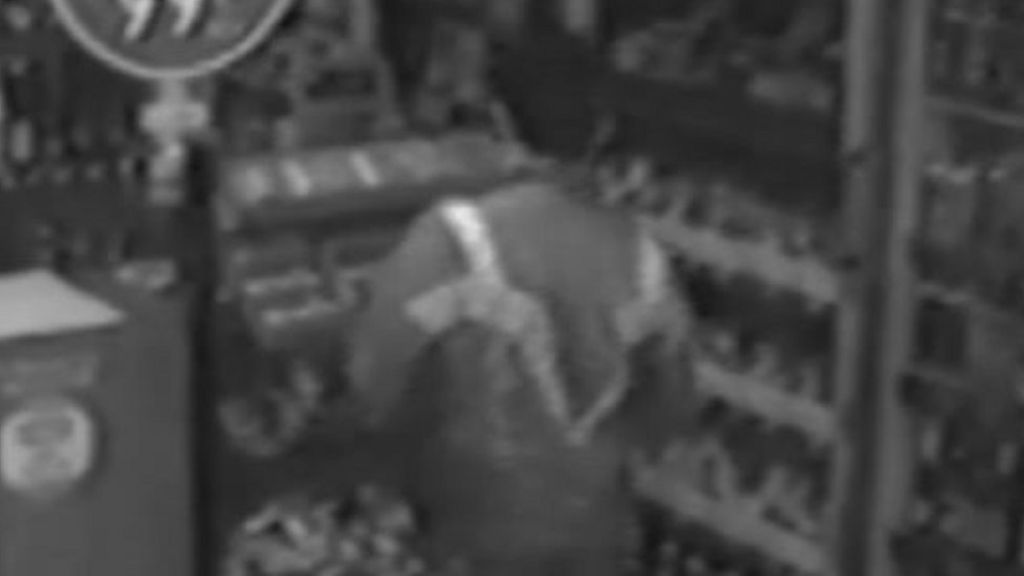 Stephen Lawrence inquiry: CCTV appeal for 'V' jacket man