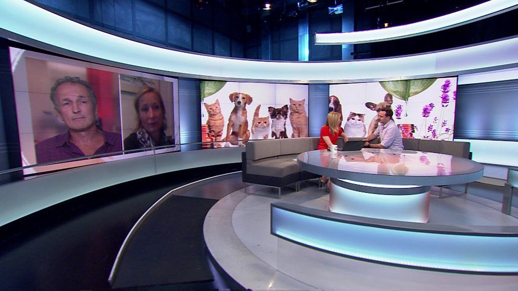 Should homeopathy be used on animals?