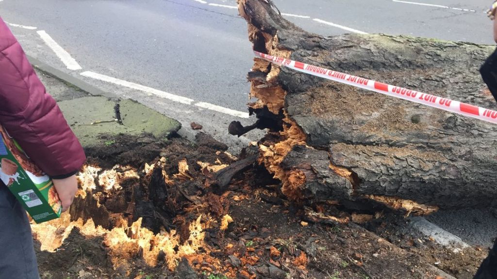 Storm Henry brings travel disruption