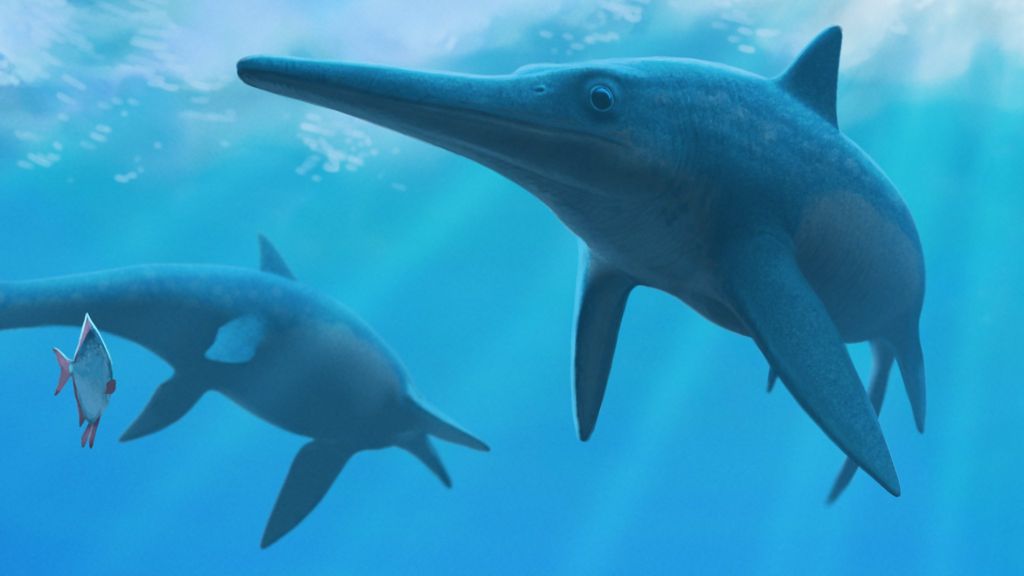 Clues to why the 'sea dragons' died out