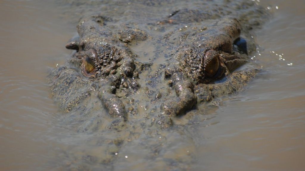 Man killed by crocodile in Australia's Northern Territory