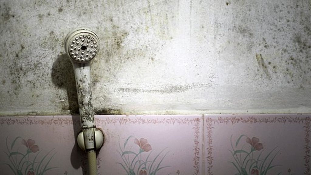 The murky world of online reviews