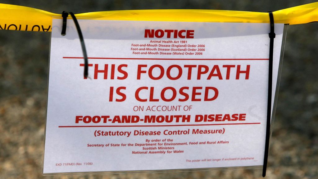 When footandmouth disease stopped the UK in its tracks BBC News