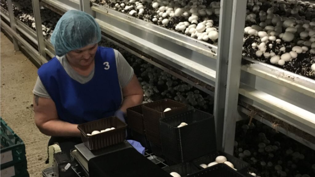 How will Brexit affect Irish exporters?