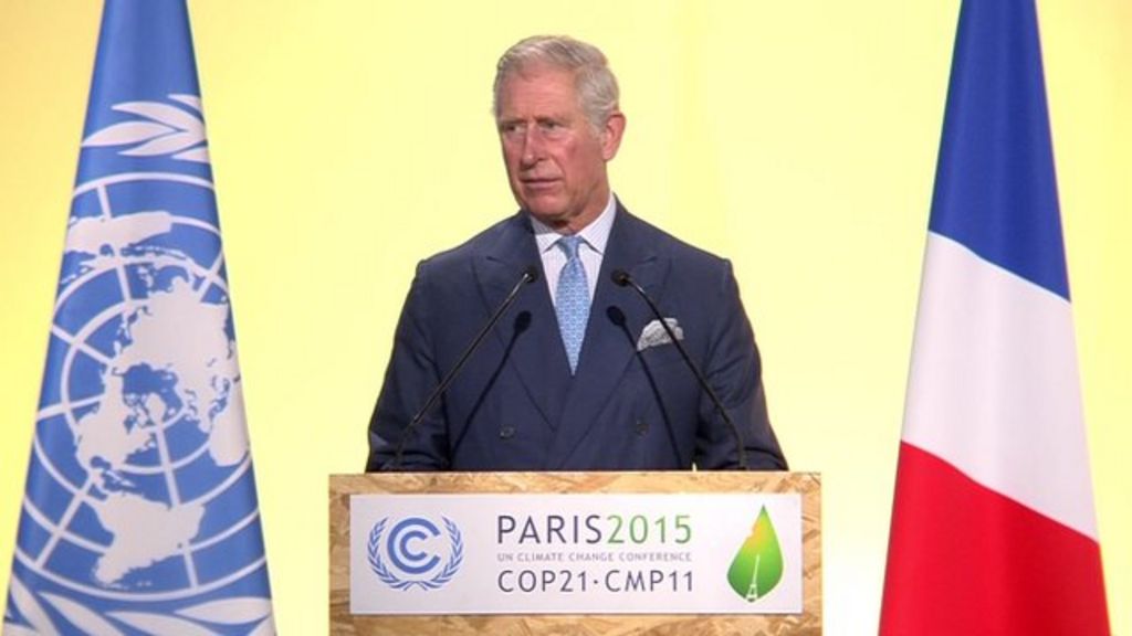 VIDEO: Think of your grandkids, Charles tells summit