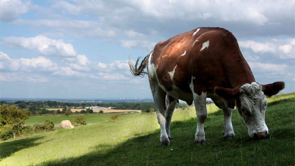Countryside faces Brexit anxiety