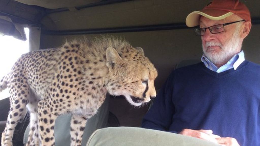 'My close encounter with cheetah'