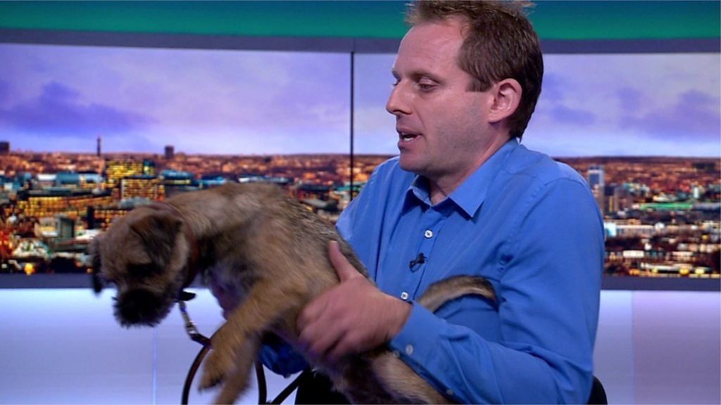 What happens when you let a dog in the studio...