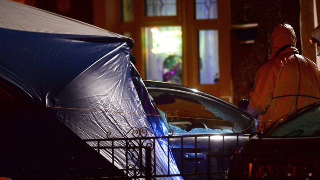 Dublin: Man shot dead by lone gunman