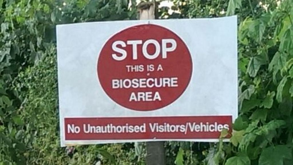 Suspected bird flu at Lancashire farm