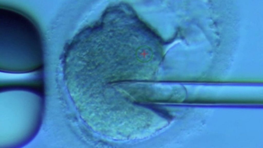 Scientists say three-person DNA babies are 'safe'