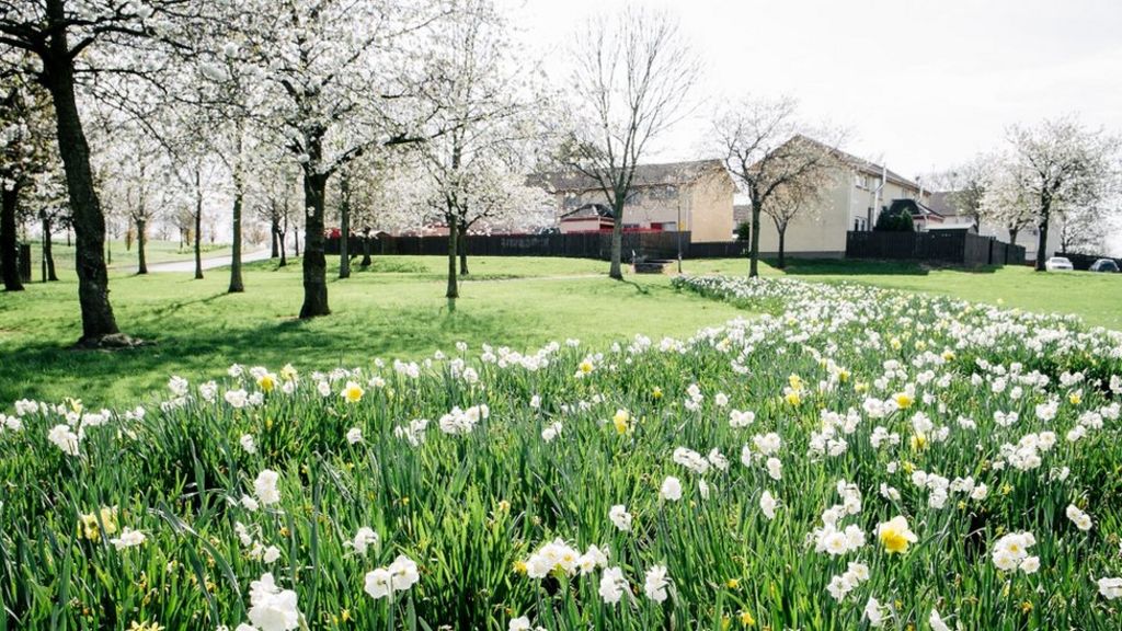 Craigavon 'most desirable place to live' - Royal Mail