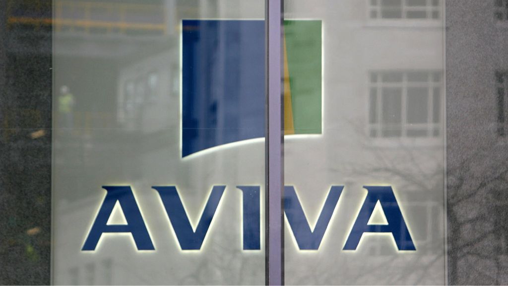 Aviva 'revenge' hacker jailed