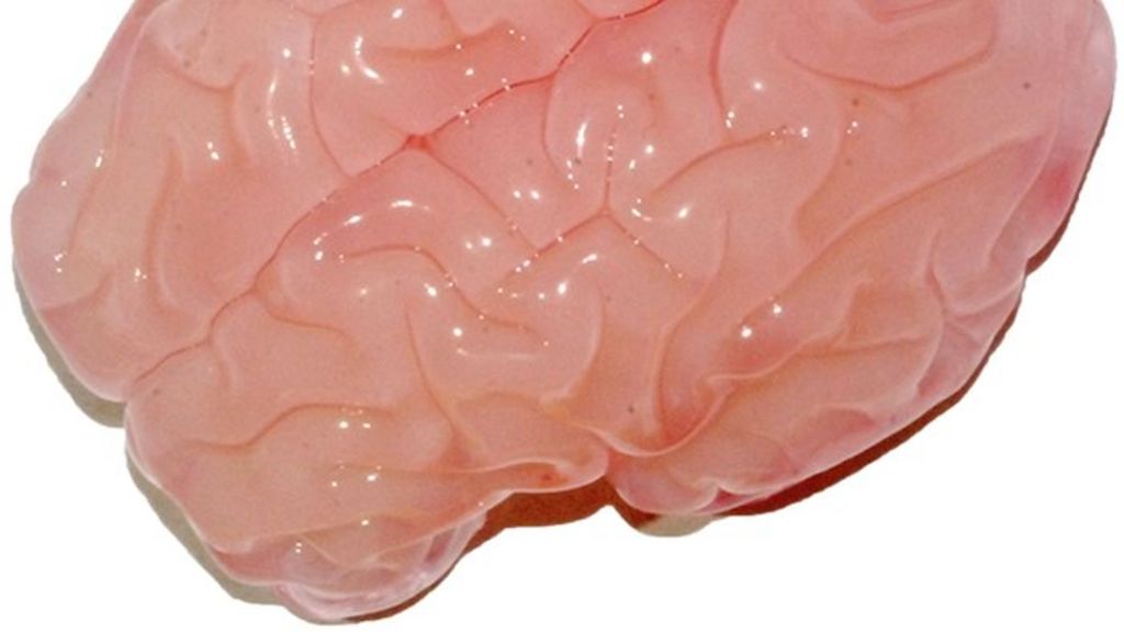 Brain wrinkles replicated in a jar
