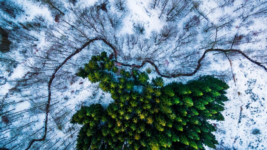 The world from above