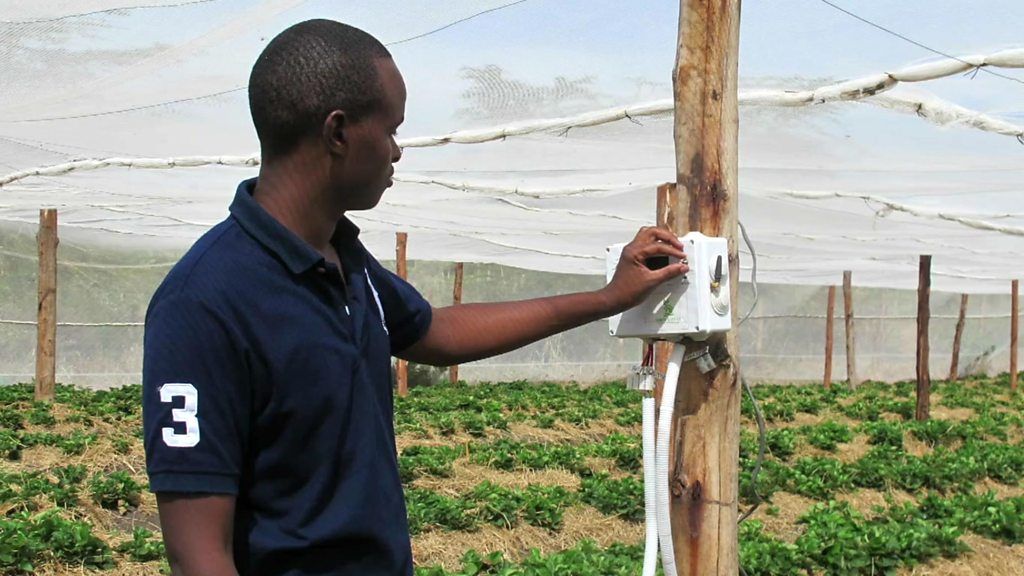 Kenya's mobile-controlled greenhouses