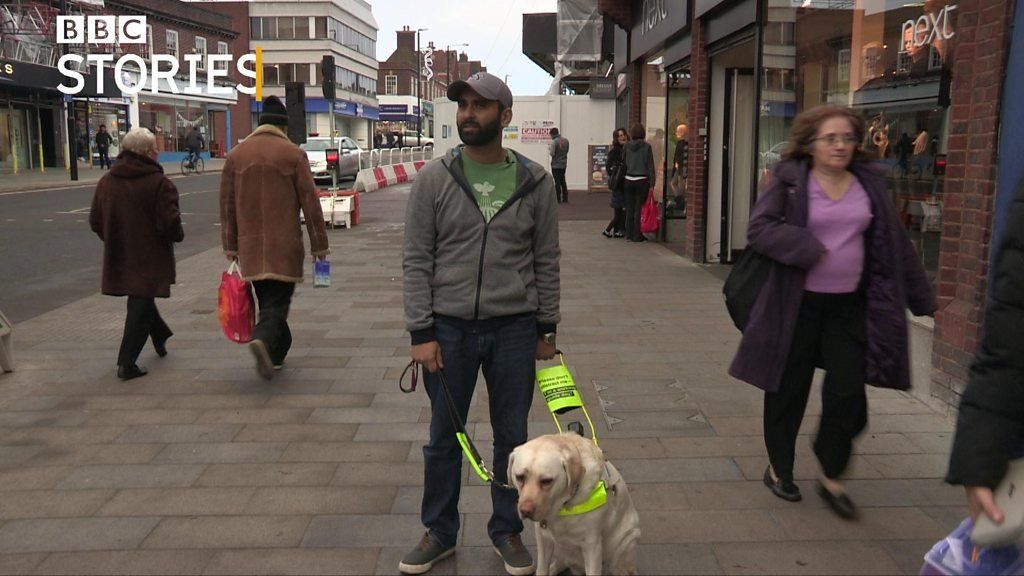 What I've learned from my guide dog's 'spy cam'