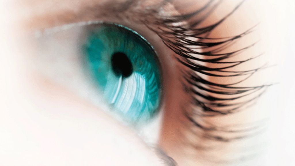 Privacy row over FBI iris scan 'trial'