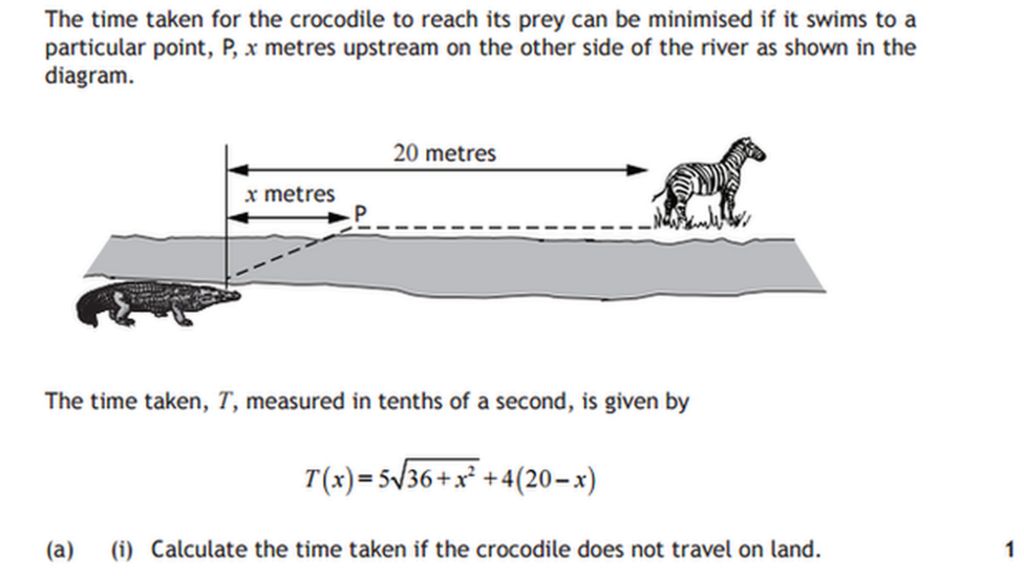 Croc maths question 'was challenging'