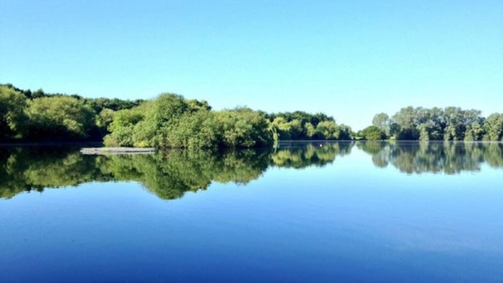 Blue-green algae hits lake events