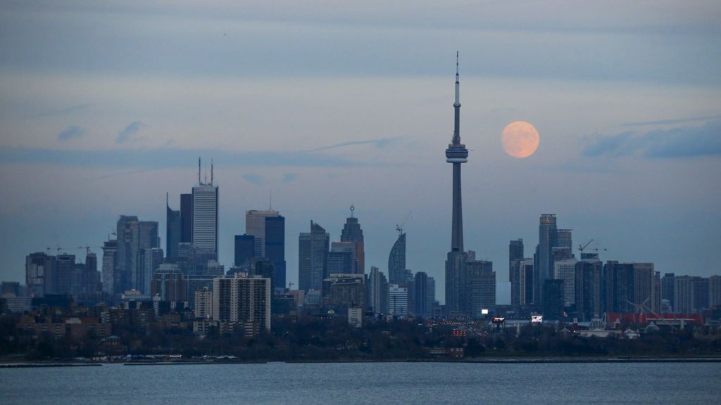 Canada ex-mafia boss shot dead