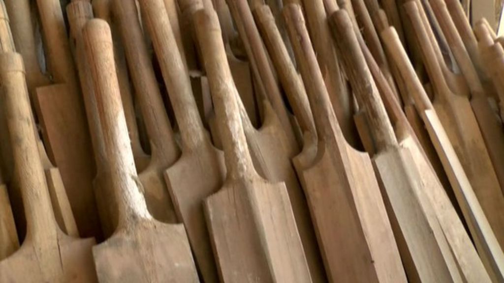 VIDEO: Kashmir cricket bat makers sidelined
