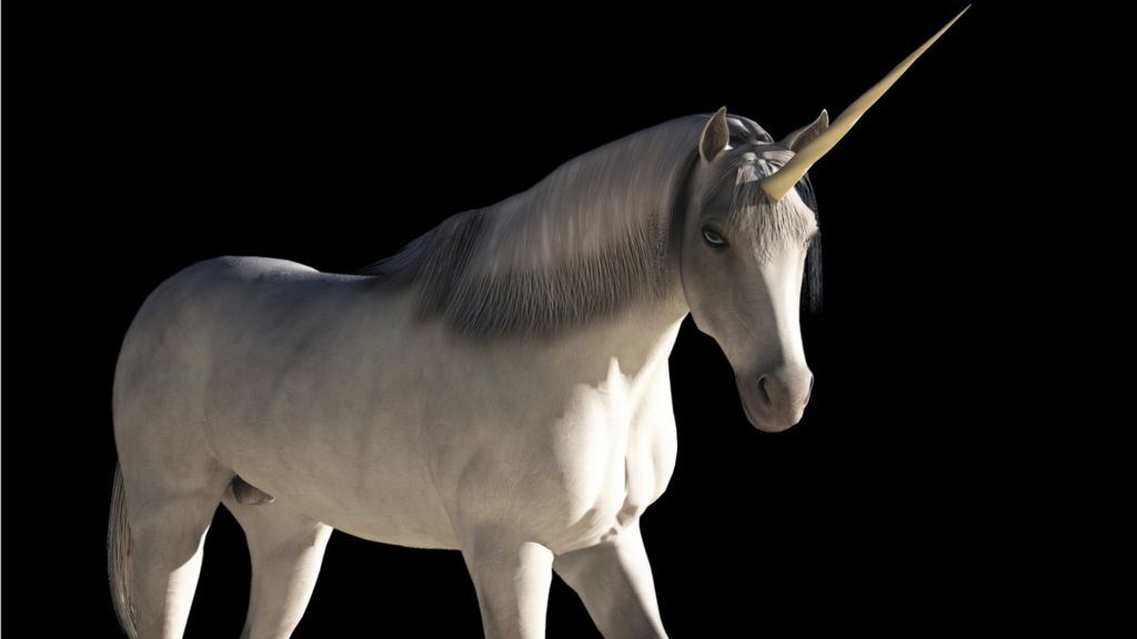 VIDEO: How do you manage a unicorn firm?