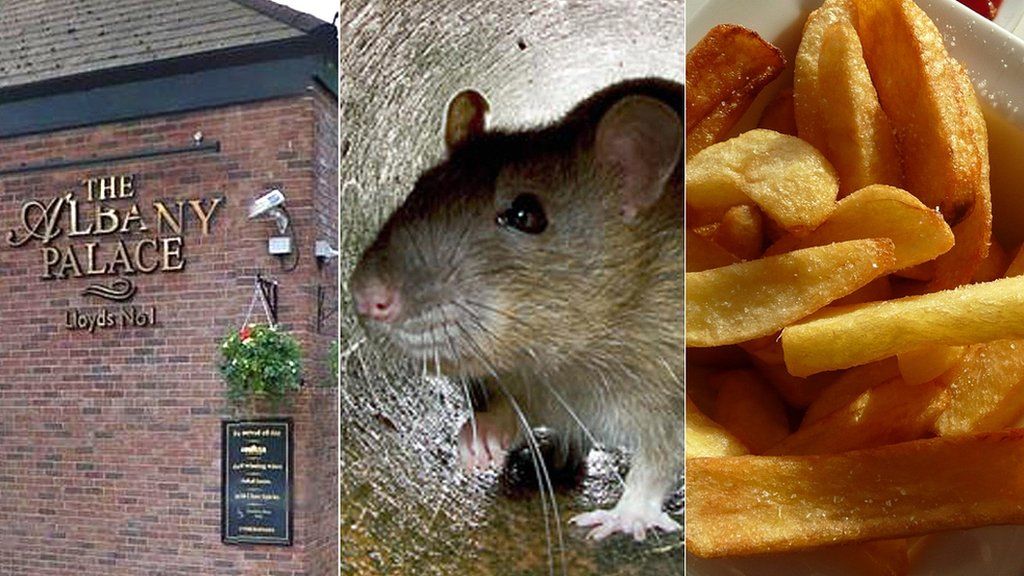 Rat in pub 'ran up leg and stole chip'