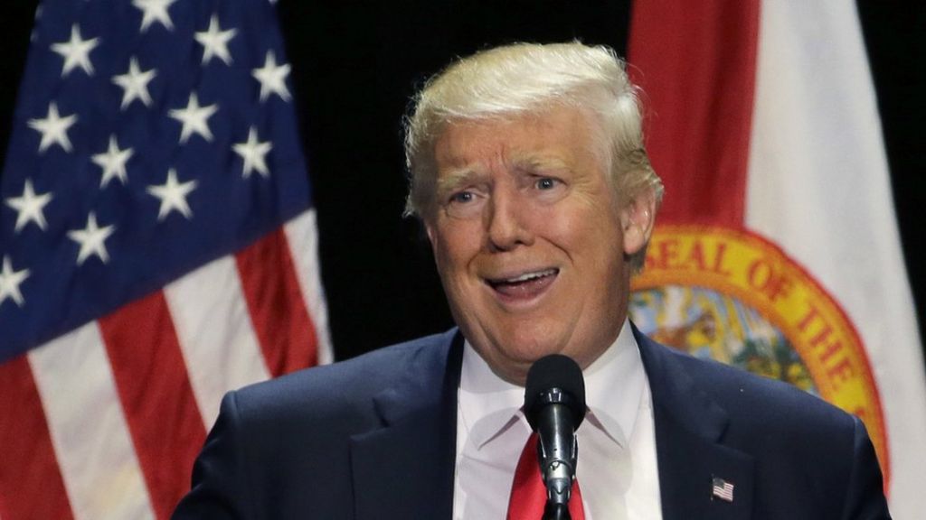 EU referendum: Vote Leave accused of 'Donald Trump nonsense'
