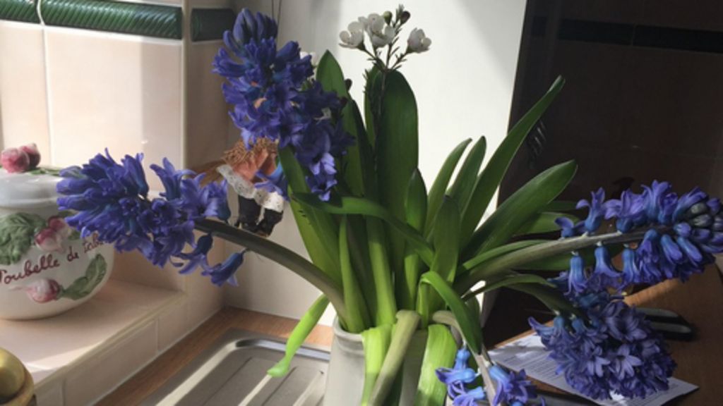 Moonpig 'sorry' for Mother's Day delays