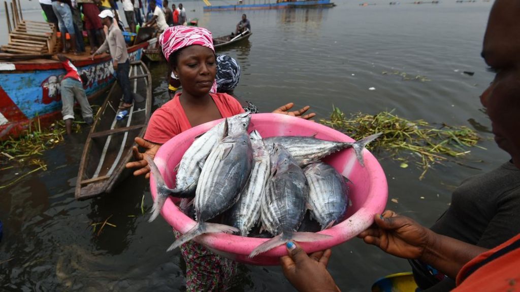UN: Global fish consumption per capita hits record high