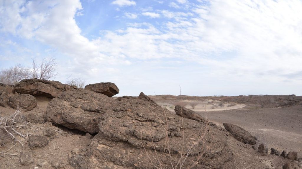 Online fossil hunters to comb desert