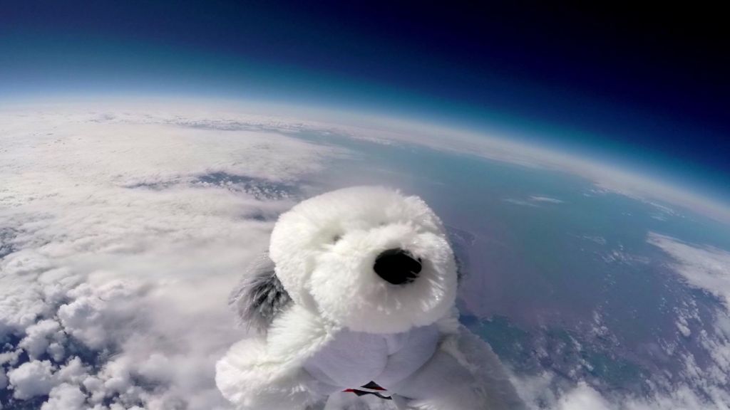 Toy dog Sam blasted into stratosphere