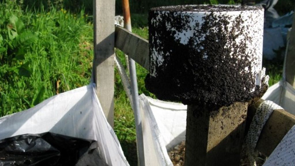 DIY traps 'tackling' midge swarms near Loch Awe BBC News