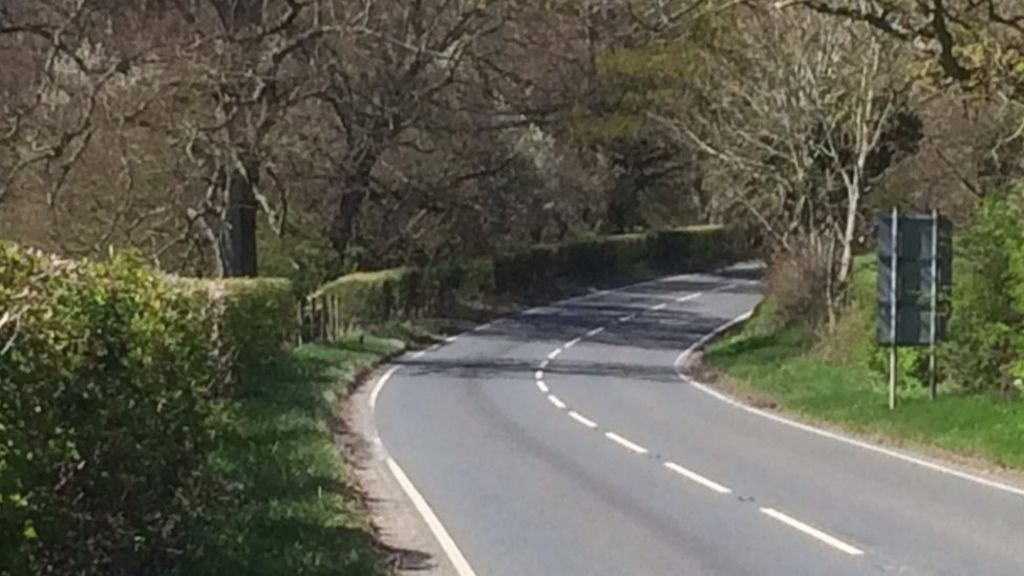 Fatal crash driver, 81, 'fell asleep'
