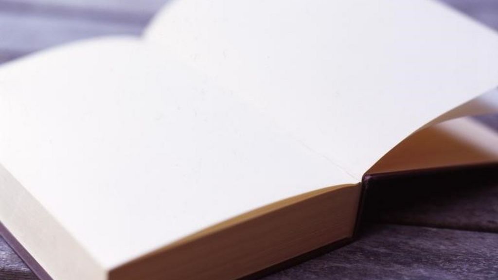 Fake borrowers at Florida library probed